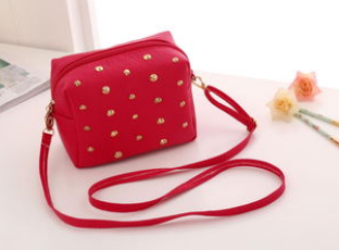 Mini Fashionable Clutch Bag